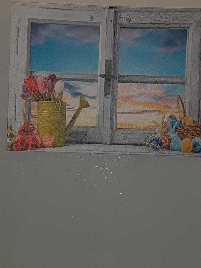B&B Peace Pisa Dış mekan fotoğraf