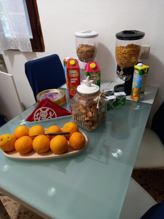 B&B Peace Pisa Dış mekan fotoğraf