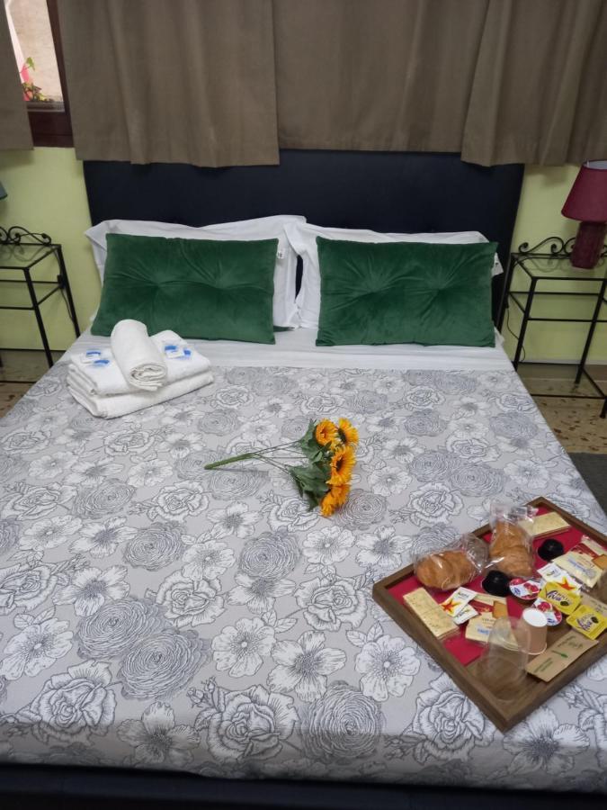 B&B Peace Pisa Dış mekan fotoğraf