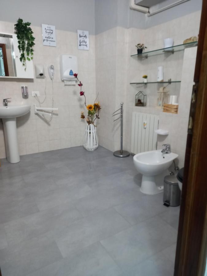 B&B Peace Pisa Dış mekan fotoğraf